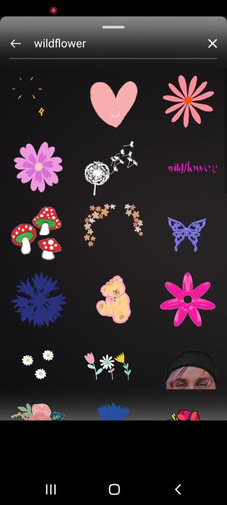 gif instagram stories fiori