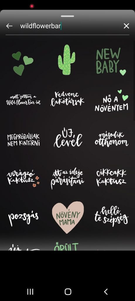 gif instagram stories frasi scritte