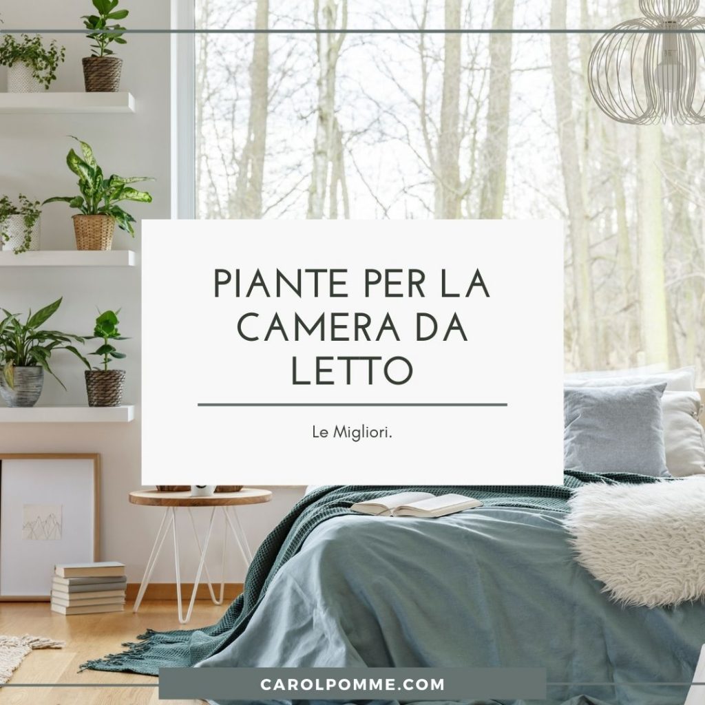 piante da camera da letto