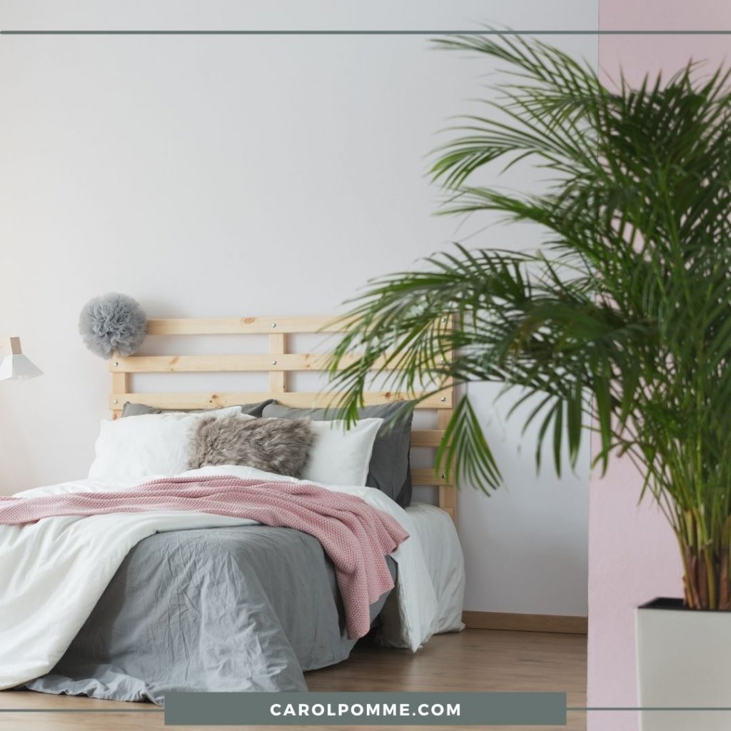 Consigli per avere una buona qualità dell'aria in camera da letto