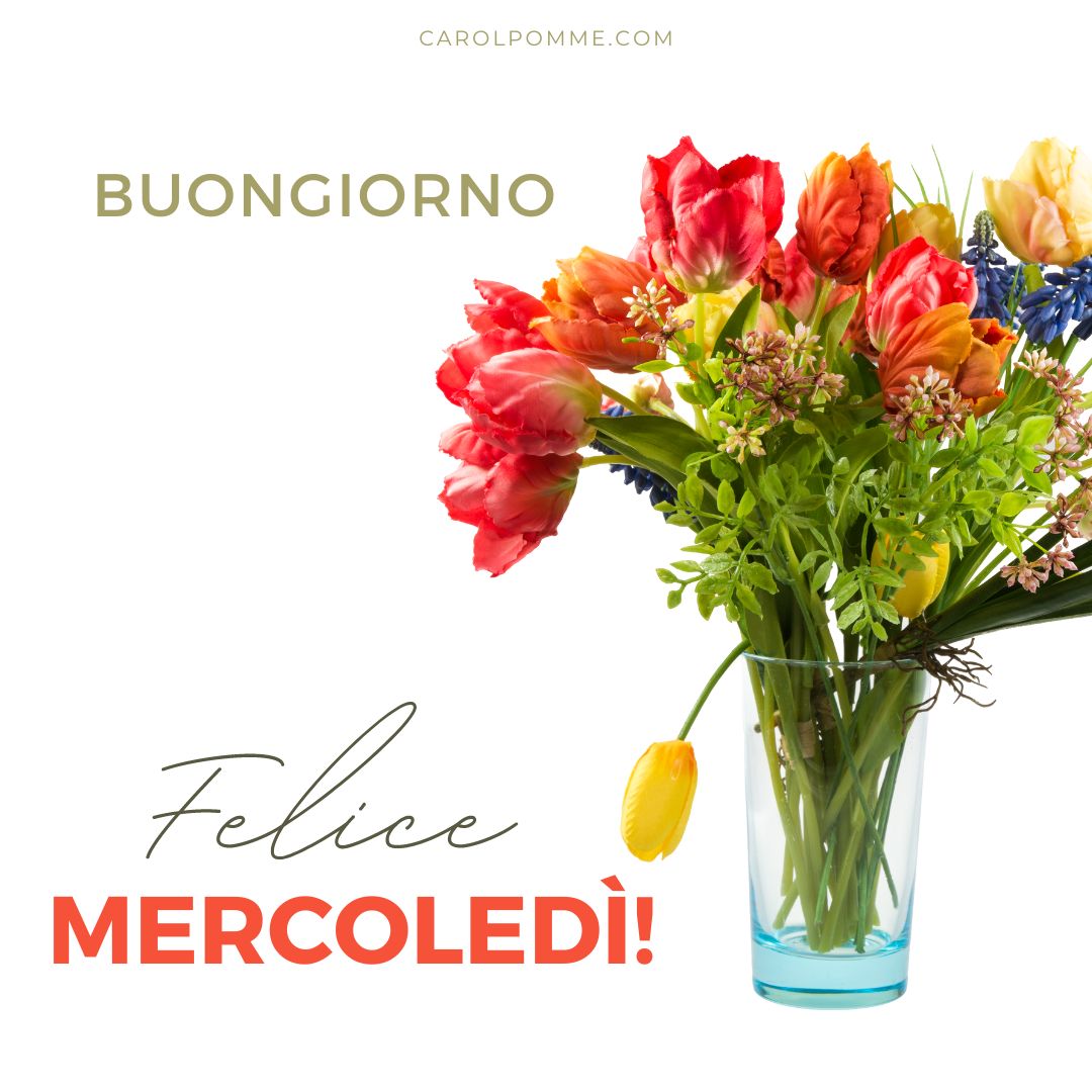 buon mercoledì allegro