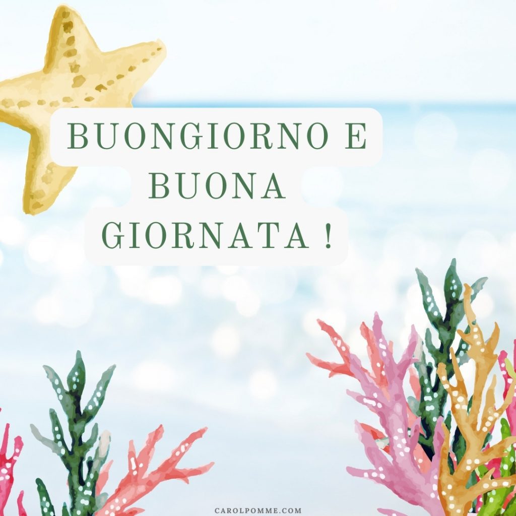 buongiorno estate