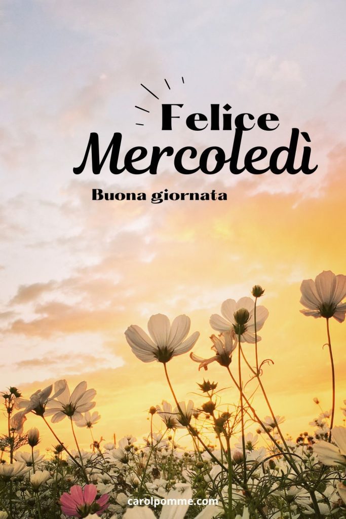 felice mercoledì