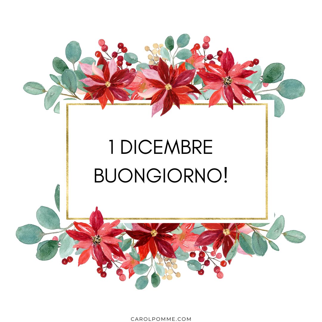 Benvenuto dicembre: 8 immagini per il buongiorno - Carol Pomme