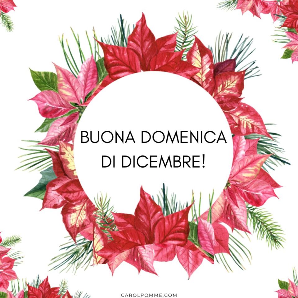 Benvenuto dicembre: 8 immagini per il buongiorno - Carol Pomme