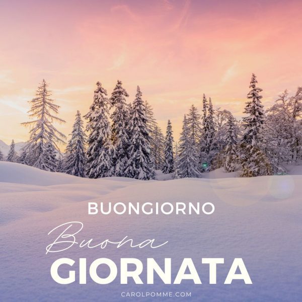 Benvenuto dicembre: 8 immagini per il buongiorno - Carol Pomme