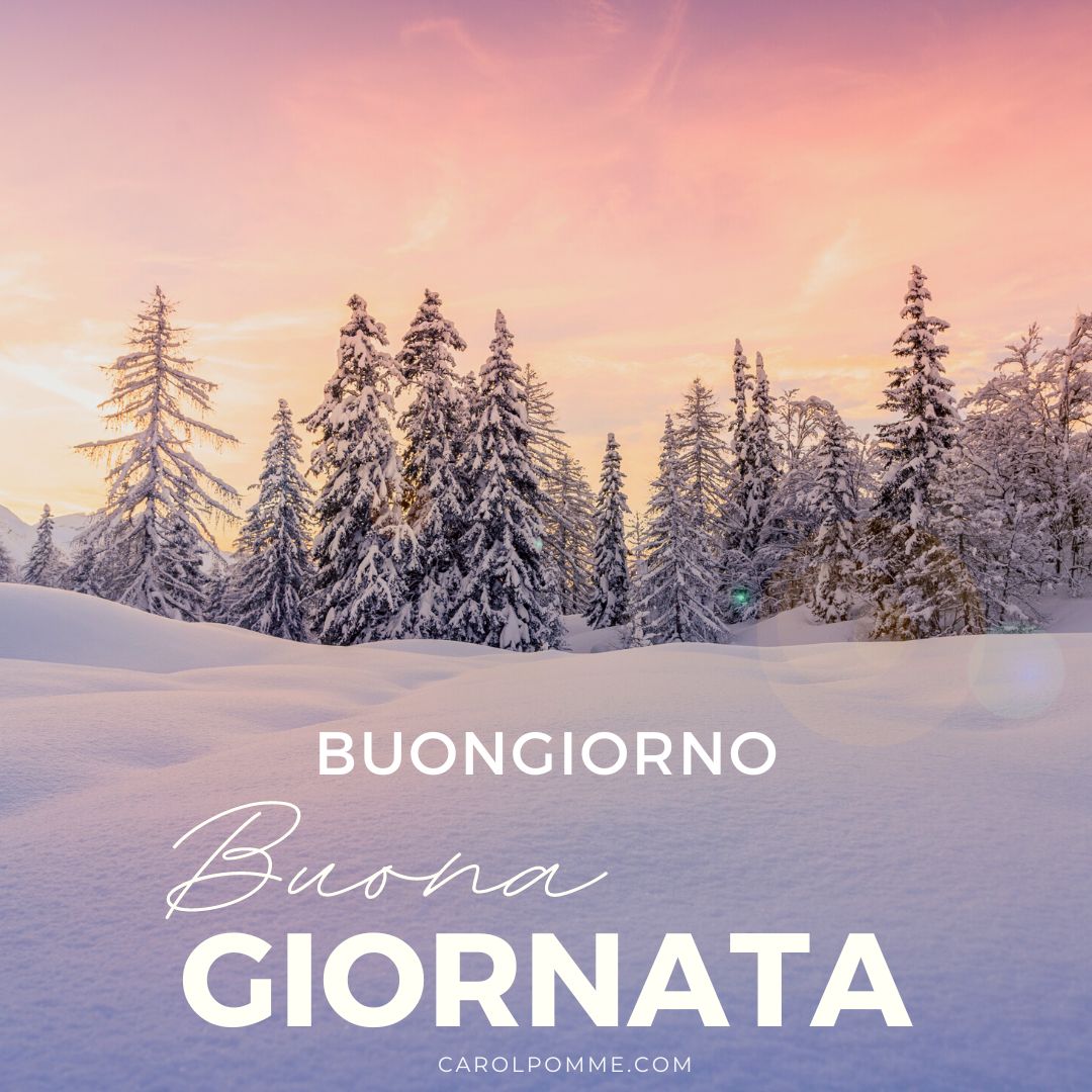 Benvenuto dicembre: 8 immagini per il buongiorno - Carol Pomme