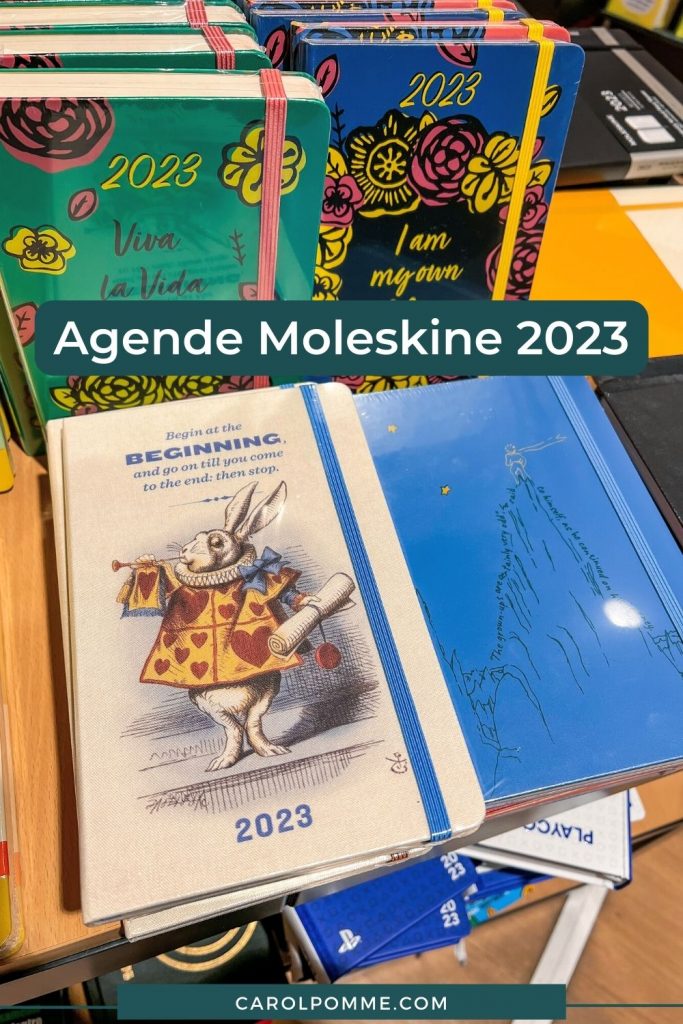 migliori agende moleskine 2023