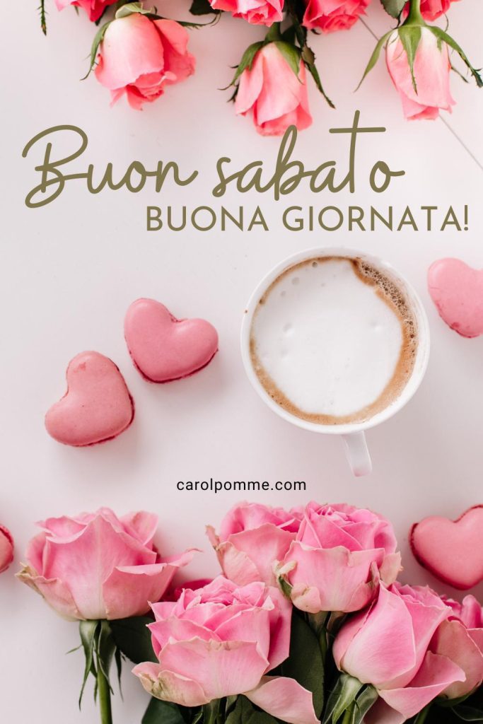 Campanello Bici Bambina Trombetta Per Bici Paw Patrol Rosa - Con Skye E Everest, Supporto In Plastica, Per Bambine Giochi Esterne